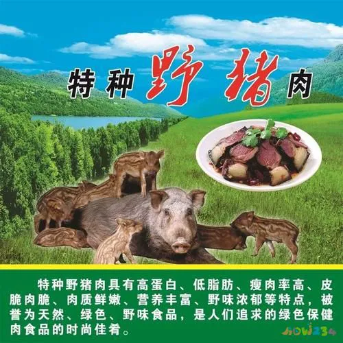 山猪肉的煮法_山猪肉的做法大全家常窍门_山猪肉的家常做法