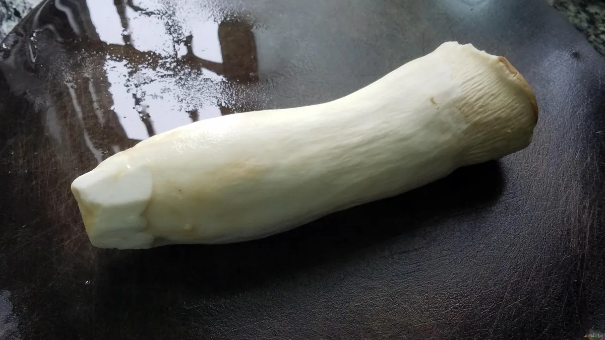 家常菜 猪肉_猪肉家常菜100道简单炒菜_猪肉家常菜做法