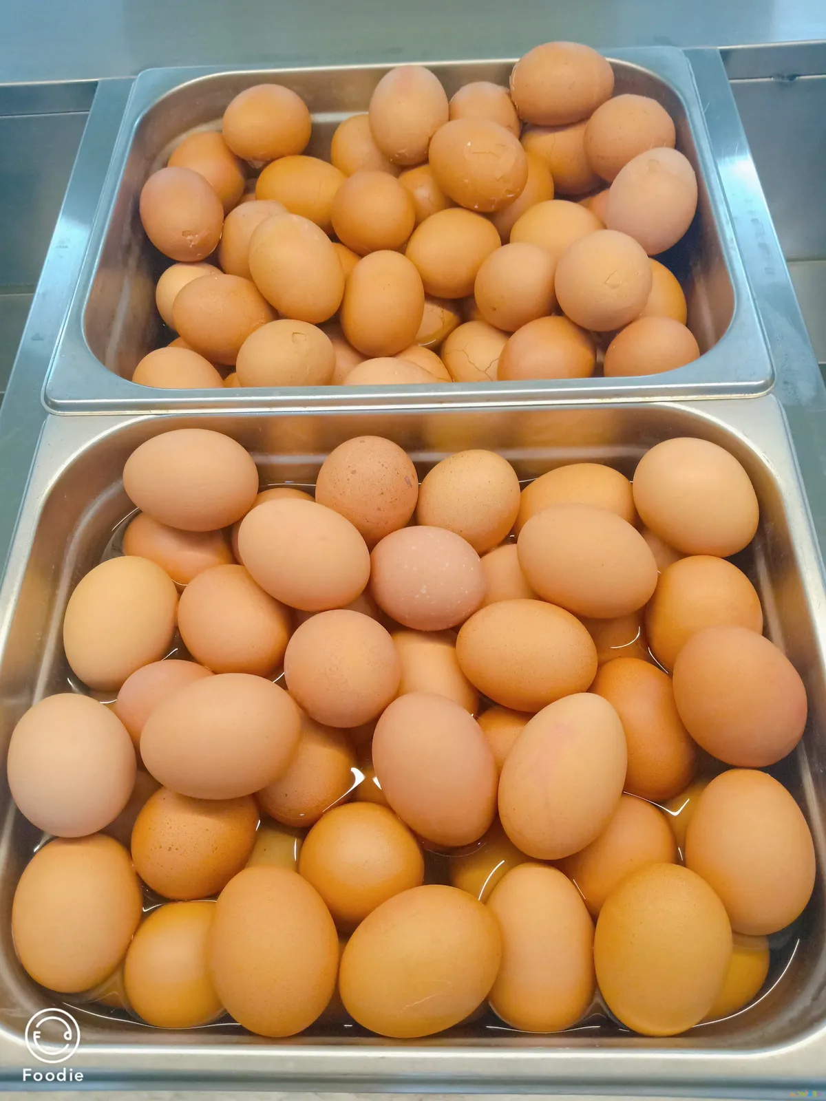 西红柿豆腐鲫鱼汤做法大全家常做法大全_鱿鱼海参做法大全家常做法大全_茶叶蛋的做法大全家常