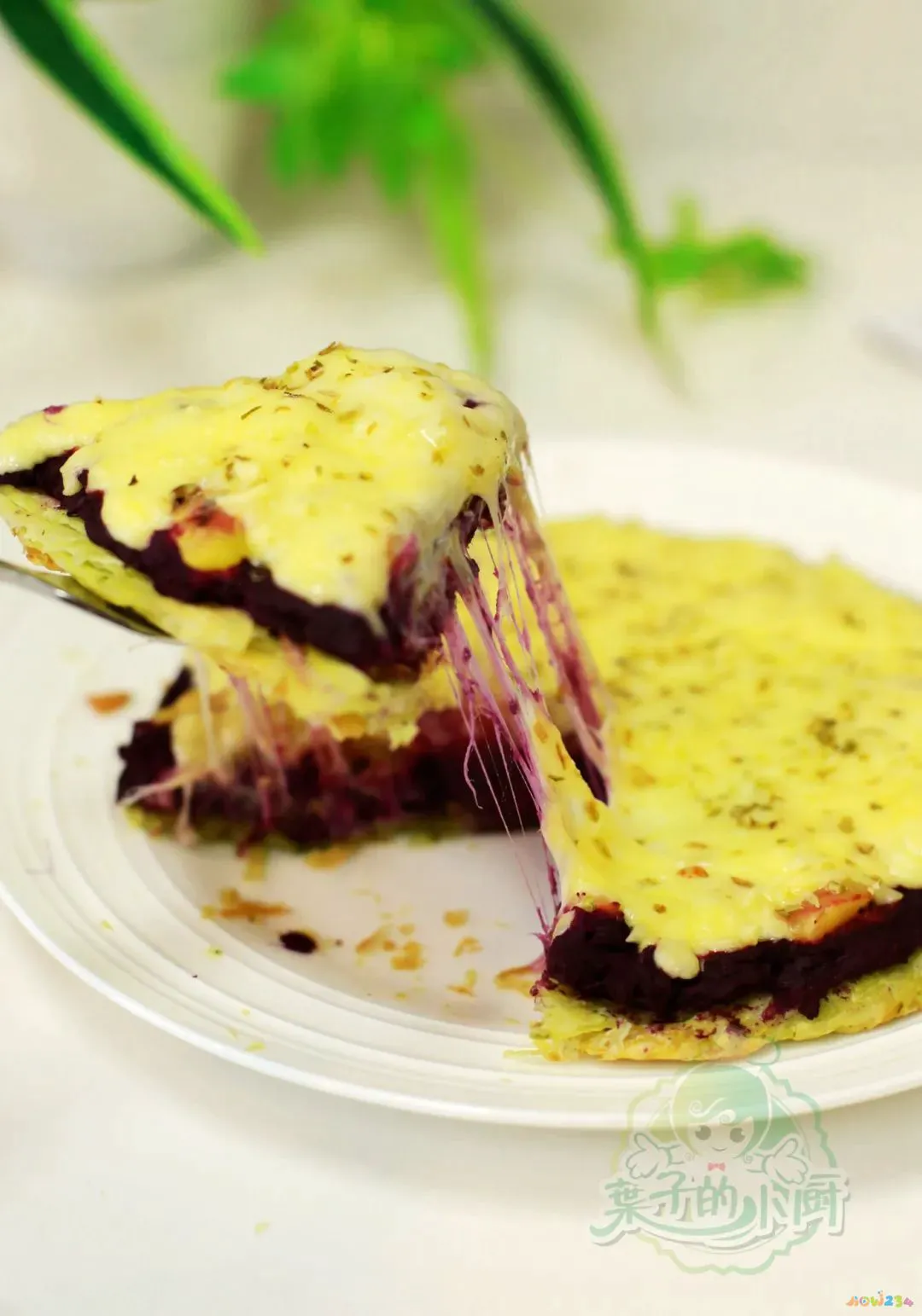 家常披萨做法大全_家常披萨做法电饼铛_披萨的家常做法