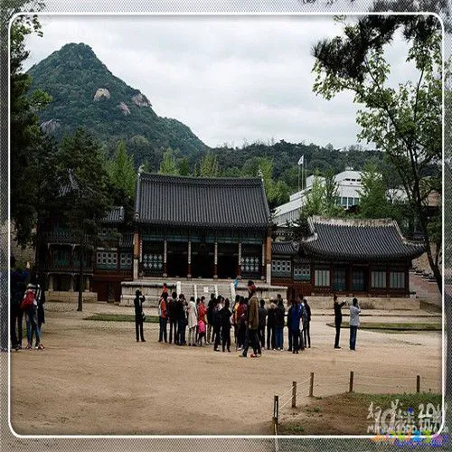 豆腐菜的家常做法_上海家常菜_最爱吃的家常肉菜