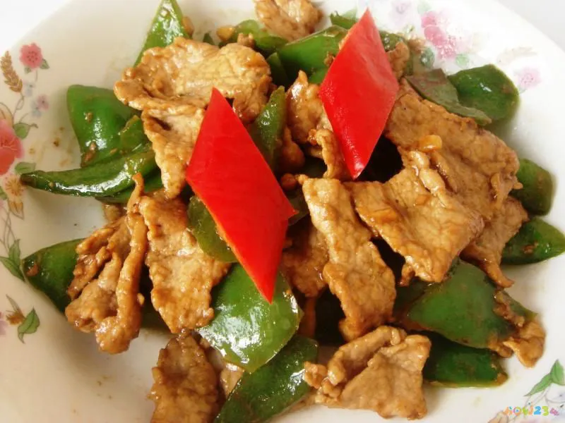 木须肉片的家常做法_家常水煮肉片_红烧肉片的家常做法