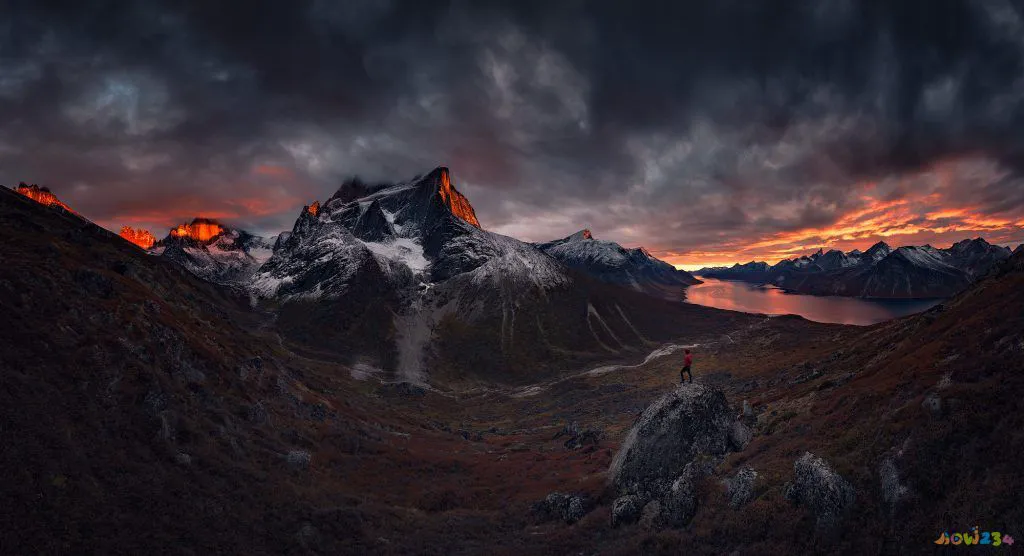 干炸丸子视频做法视频_干炸丸子的家常做法_干炸丸子窍门