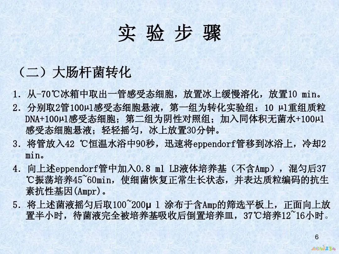 绣球菌的家常做法_绣球菌批发价格_绣球菌做法大全
