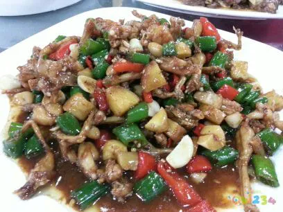 爆炒乌鸡做法大全家常_爆炒田鸡做法_爆炒田鸡的家常做法大全