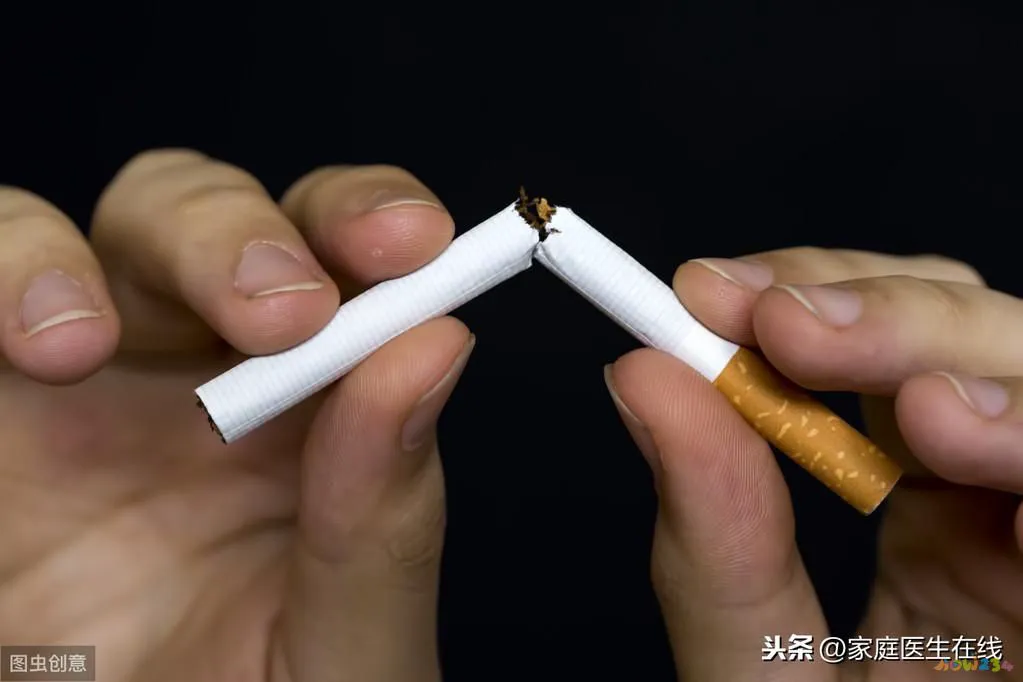 365天健康饮食家常养生保健菜_辣味家常菜高血压_无肉不欢最好吃的家常美味肉菜