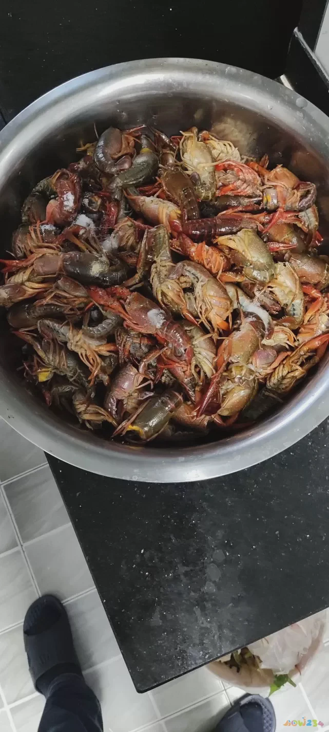 波士顿龙虾做法家常_龙虾的做法大全家常_龙虾的家常做法