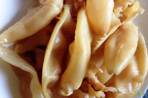 鱼肚煲鸡汤的家常做法_干鱼肚的家常做法_豆干回锅肉的家常做法