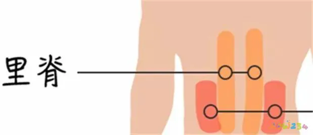 文怡家常菜 红烧肉_包饺子买什么部位猪肉_记住我忘记我