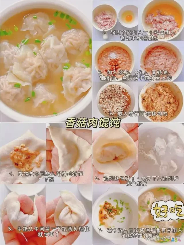 馄饨馅儿的做法视频_正宗馄饨馅视频教程_家常馄饨馅的做法