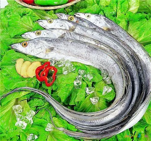 家常汤做法鳕鱼清炖窍门_清炖鳕鱼汤的做法_清炖鳕鱼汤的家常做法