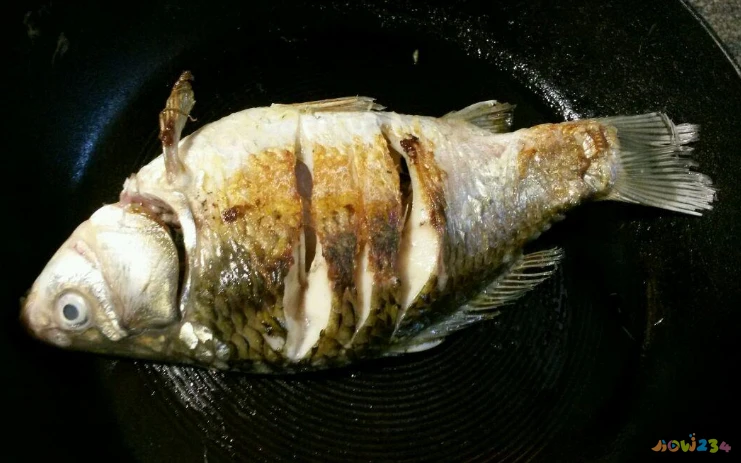 清炖鲈鱼家常做法大全_清炖鱼的家常做法_清炖鲤鱼汤的家常做法