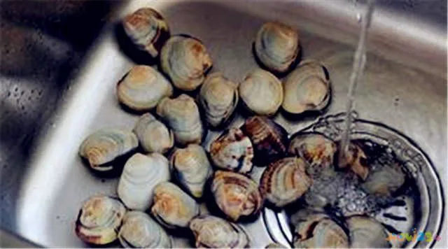 家常辣炒蚬子肉的做法_辣炒海带丝的家常做法_辣炒海丁的家常做法