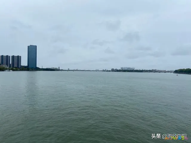 豆腐鱼头汤的制作_鱼头豆腐汤的家常做法_豆腐家常鱼头汤做法大全