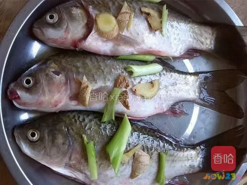 淋炸鲫鱼的家常做法_炸辣椒酱做法大全家常做法_红烧鲫鱼豆腐的家常做法