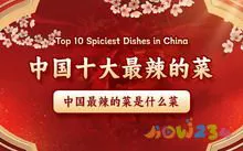 浇汁茄子盒的做法大全_浇汁茄盒怎么做好吃_浇汁茄盒的家常做法