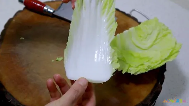 家常醋溜白菜_家常白菜做法醋溜白菜_醋溜白菜做法大全家常