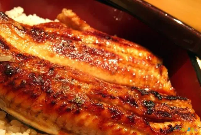 鳗鱼的家常做法_鳗鱼 做法_红烧鳗鱼干的家常做法