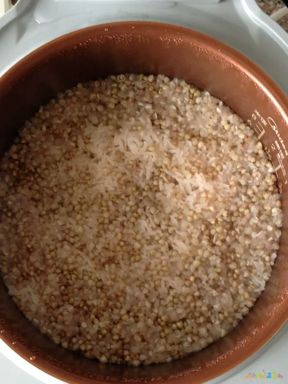 燕麦杂粮饭的家常做法_杂粮燕麦米怎样食用_燕麦杂粮米饭