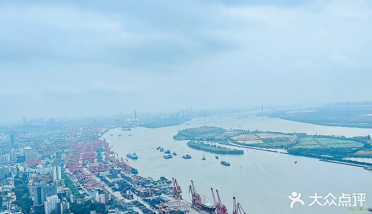 家常汤做法墨鱼怎么做_墨鱼汤的家常做法_墨鱼汤怎么做好喝