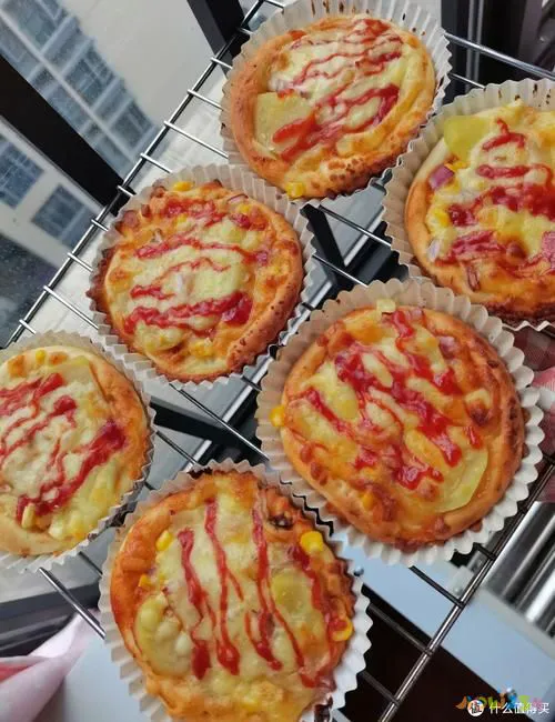 披萨的家常做法_家常披萨做法电饼铛_家常披萨做法大全