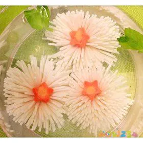 天天饮食十年典藏家常保健菜_降火的家常菜_菜丸子的家常做法炸丸子