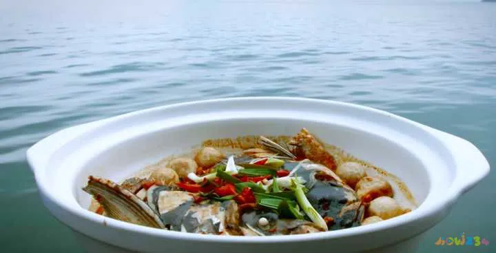 海鲈鱼做法大全家常_家常梭鲈鱼的做法_清蒸鲈鱼的家常做法