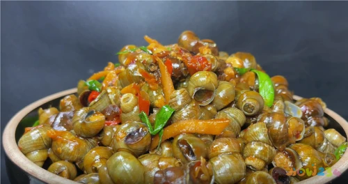 蒜苗炒肉做法大全家常_鸡脯肉做法大全家常_家常肉菜做法大全