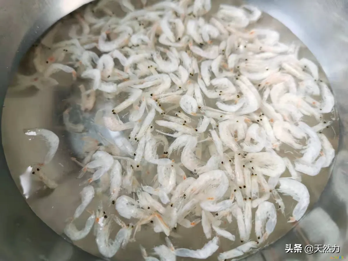 排骨白萝卜煲汤的做法（家常老火靓汤之萝卜排骨汤）