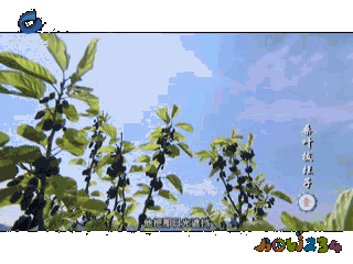 平遥家常美食_平遥家常菜_舌尖上的平遥美食