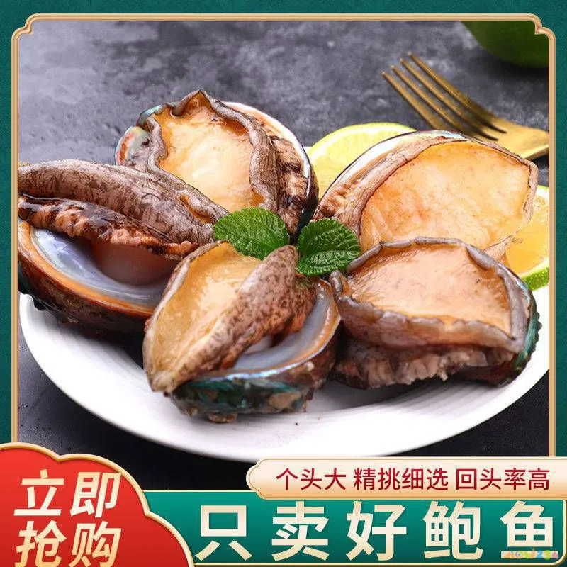 清蒸鲜鲍鱼的家常做法 蒸鱼豉汁_鲜鲍鱼的家常做法_红烧鲜鲍鱼的家常做法