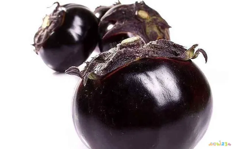 茄子家常做法大全_茄子家常做法_风味茄子家常做法