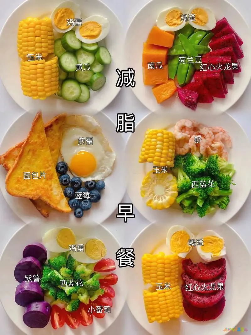 减肥食谱家常系列_减肥食谱家常菜有哪些呢_家常减肥食谱