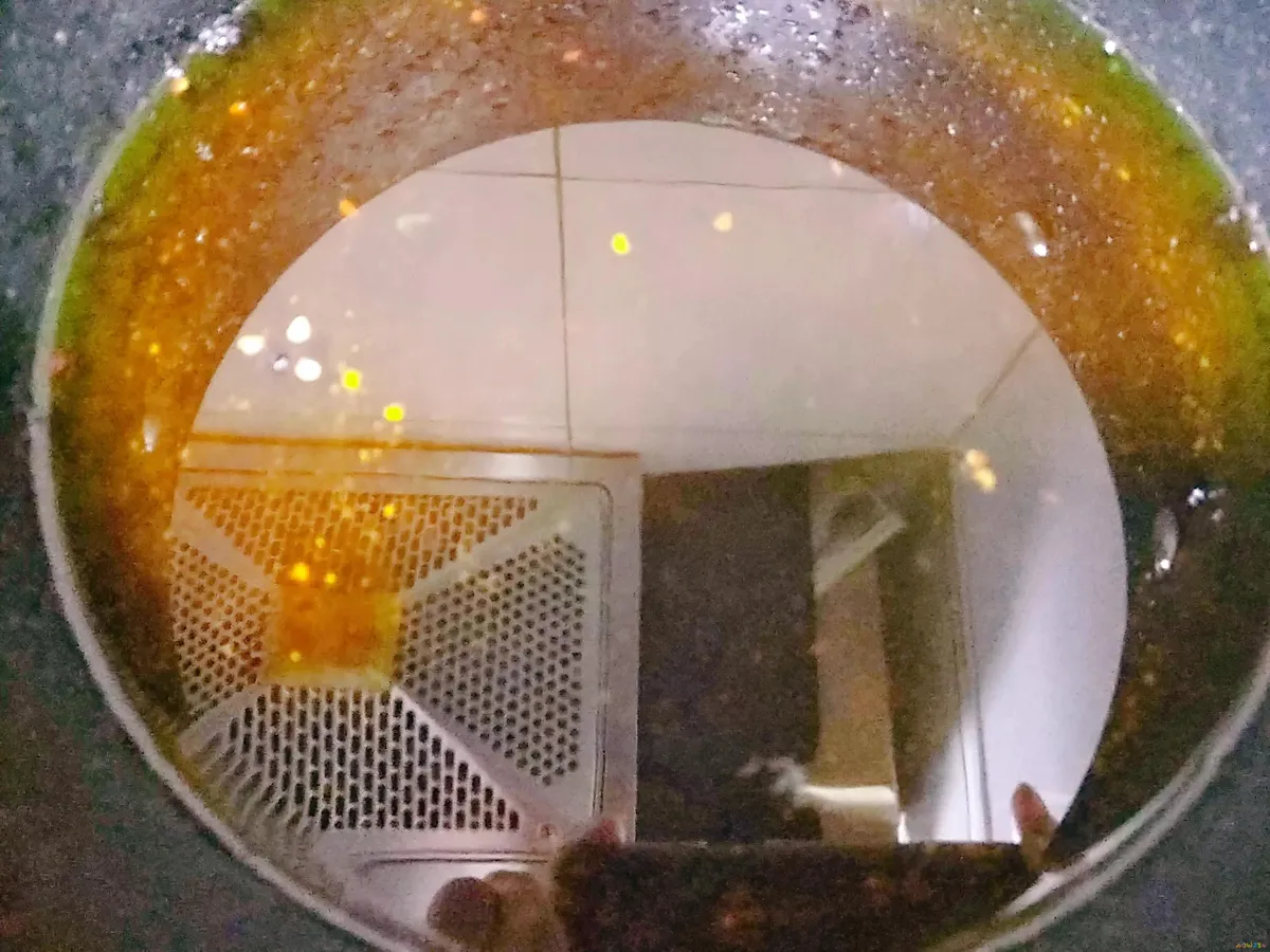 辣椒油的家常做法_腌青辣椒家常做法_腌辣椒家常做法