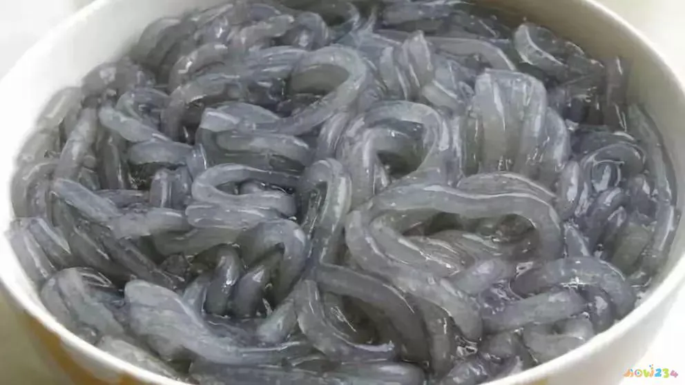 干海螺肉片_干海螺肉的家常做法_海螺干肉的做法大全