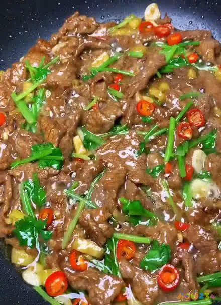 四川菜谱家常菜做法_春节家常团圆饭菜谱及做法_菜谱家常凉菜做法