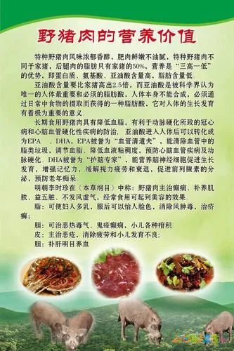 山猪肉的煮法_山猪肉的家常做法_山猪肉的做法大全家常窍门