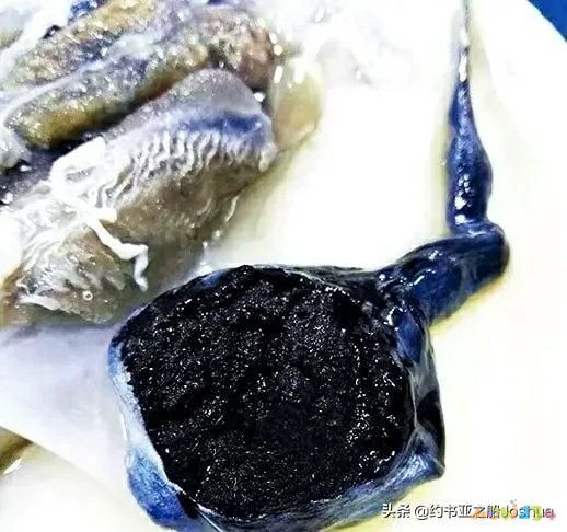 干墨鱼炒饭的家常做法_墨鱼卷芹菜的家常做法_炒墨鱼的家常做法