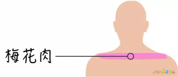 记住我忘记我_包饺子买什么部位猪肉_文怡家常菜 红烧肉