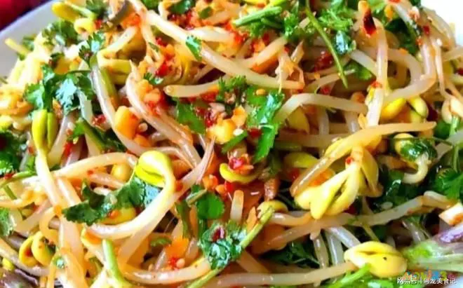 红烧冬瓜的家常做法_小暑大暑吃什么传统食物_小暑吃饺子