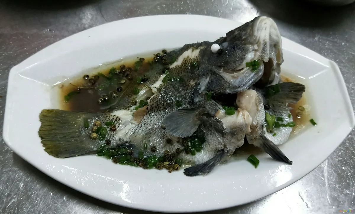 清蒸鲈鱼的家常做法_家常梭鲈鱼的做法_海鲈鱼做法大全家常