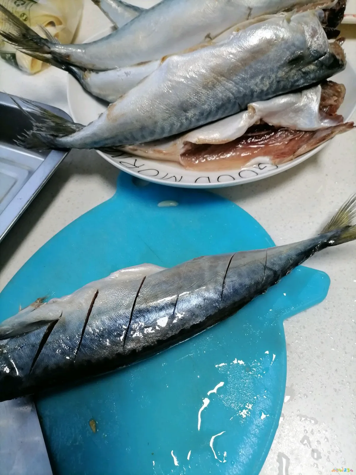 家庭红烧鲅鱼做法_家常红烧做法鲅鱼怎么做_红烧鲅鱼块的家常做法