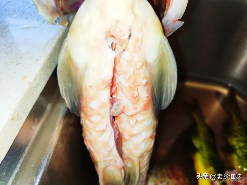 三道鳞鱼的家常做法_鳞炸鲫鱼做法大全家常_炖三道鳞的家常做法图