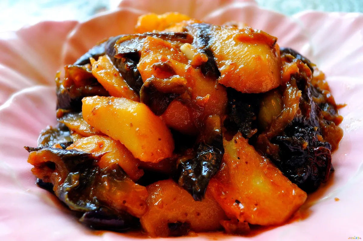 茄子家常做法炖肉视频_茄子炖肉的家常做法_茄子家常做法炖肉窍门