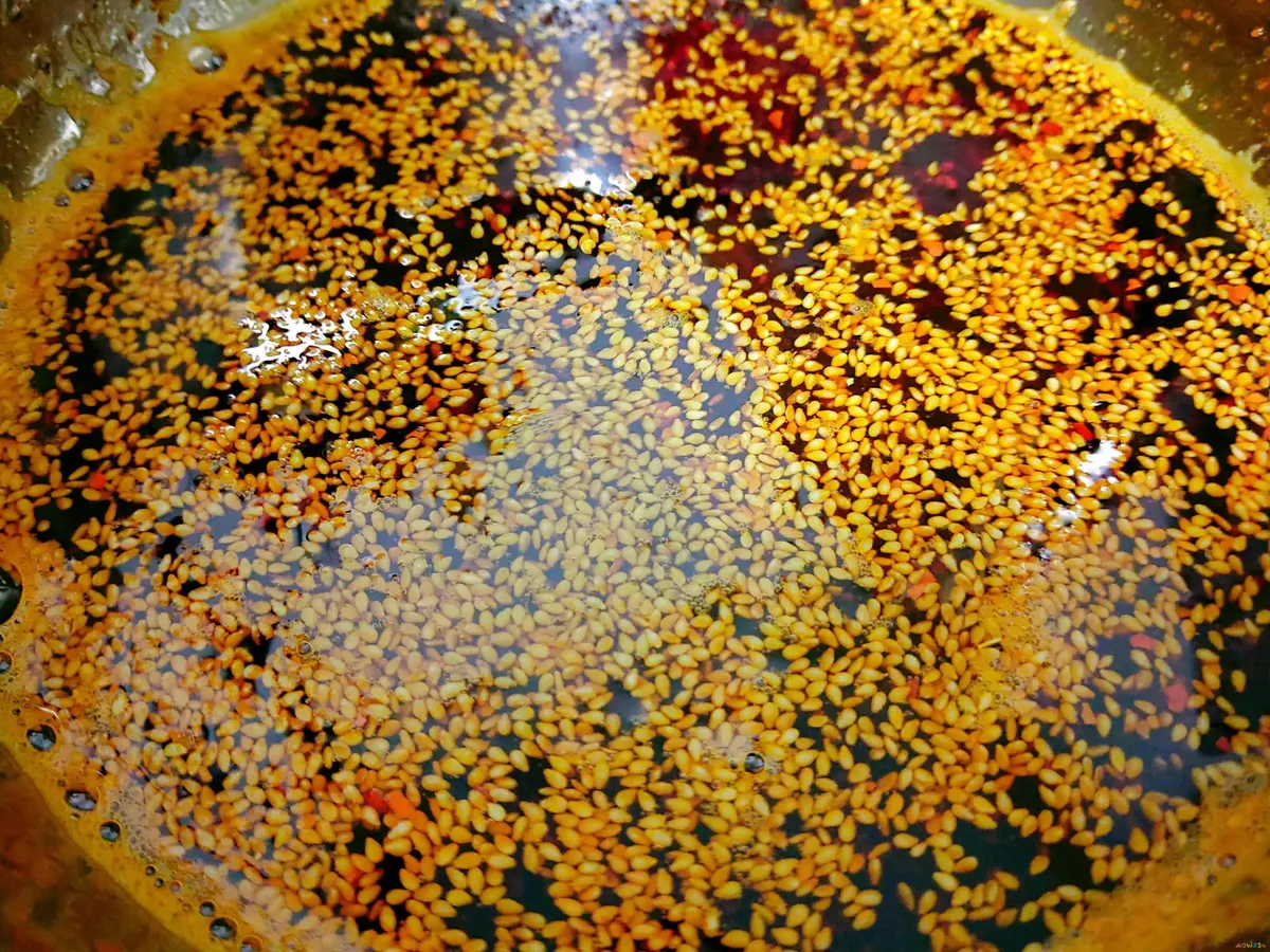 辣椒油的家常做法_腌辣椒家常做法_腌青辣椒家常做法