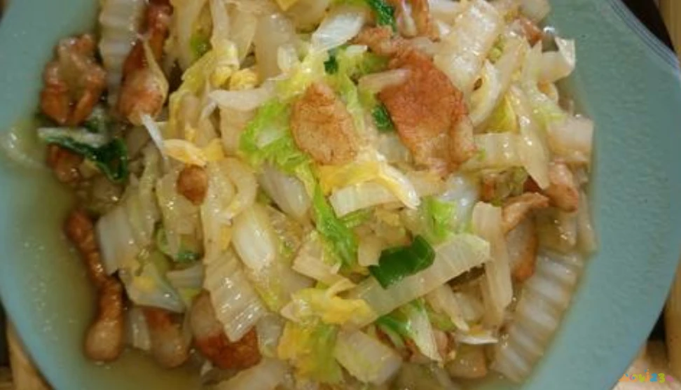 猪肉家常菜有几种做法_猪肉家常菜100例_家常菜 猪肉