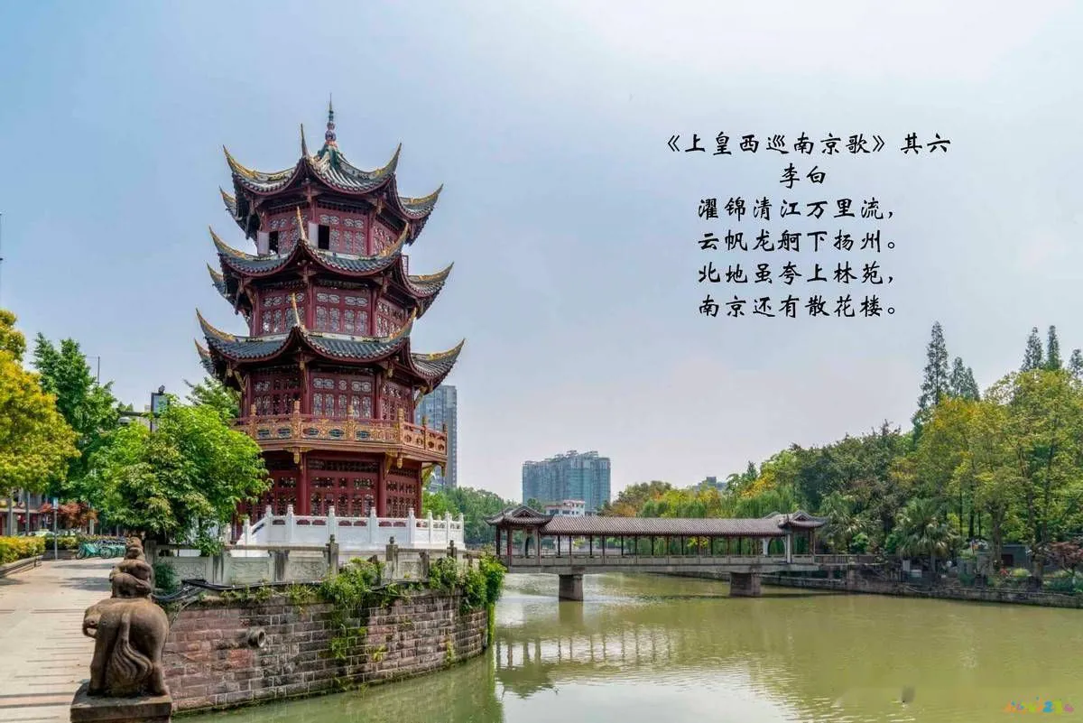 四川粉蒸排骨家常做法_四川家常冒菜的做法_四川家常燃面