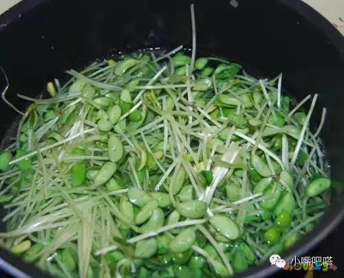 香菇炖鸡家常做法_香菇炖鸡的做法简单又好吃_家常香菇炖鸡的做法大全