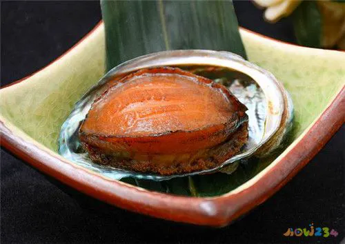 清蒸鲜鲍鱼的家常做法 蒸鱼豉汁_鲜鲍鱼的家常做法_红烧鲜鲍鱼的家常做法