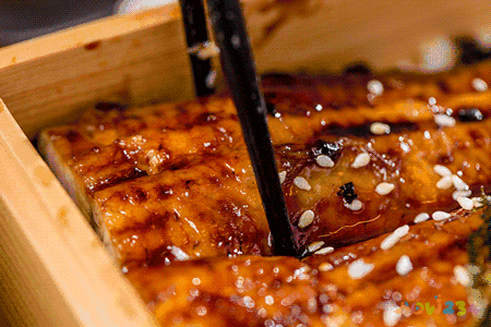 鳗鱼烧肉做法大全家常_鳗鱼的家常做法_可乐鸡翅的家常做法 家常